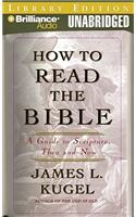 How to Read the Bible