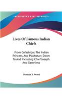 Lives Of Famous Indian Chiefs