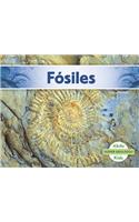 Fósiles