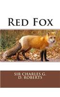 Red Fox