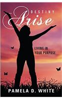 Destiny Arise