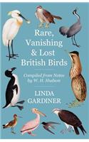 Rare, Vanishing and Lost British Birds