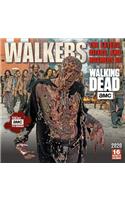 Walkers: the Eaters, Biters, and Roamers of Amc(R) the Walking Dead , the 2020 Square Wall Calendar