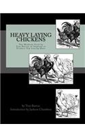 Heavy Laying Chickens