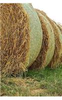 Freshly Rolled Straw Bales Journal