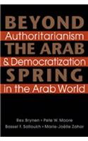 Beyond the Arab Spring