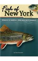 Fish of New York Field Guide