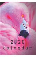 2020 Flamingo Calendar Planner Organizer
