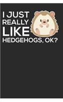 I Just Really Like Hedgehogs