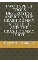 Two Type of Fools Destroying America, the Crash Dummy Intellect, and the Crash Dummy Idiot