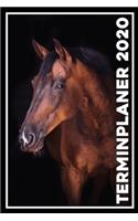 Terminplaner 2020: Jahresplaner von September 2019 bis Dezember 2020 mit Pferd - Planer mit 174 Seiten in weiß im Format A5 mit glänzendem Soft Cover.