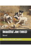 Beautiful Joe (1893)
