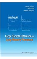 Large Sample Inference for Long Memory Processes