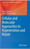 Cellular and Molecular Approaches to Regeneration and Repair