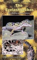 The Eyelash Geckos: Care, Breeding and Natural History