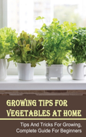 Growing Tips For Vegetables At Home: Tips And Tricks For Growing, Complete Guide For Beginners: How To Grow Vegetables At Home Without Seeds