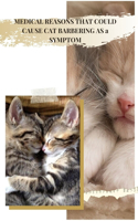 Medical Reasons That Could Cause Cat Barbering as а Symptom