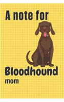 A note for Bloodhound mom