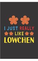 I Just Really Like Lowchen