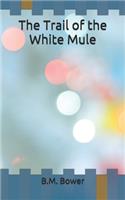 The Trail of the White Mule