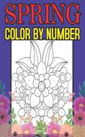 Spring Color By Number: An Adult Coloring Book with Fun, Easy, and Relaxing Coloring Pages (Color by Number Coloring Books for Adults)