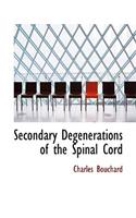 Secondary Degenerations of the Spinal Cord