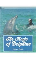 Magic of Dolphins