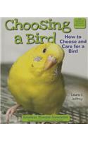 Choosing a Bird