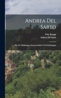 Andrea Del Sarto