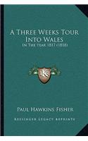 A Three Weeks Tour Into Wales