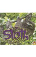 I Am a Sloth: (I Am (Av2 Weigl))