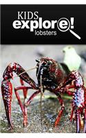 Lobster - Kids Explore