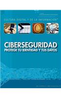 Ciberseguridad: Protege Tu Identidad Y Tus Datos (Cybersecurity: Protecting Your Identity and Data)