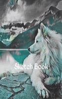 Sketch book