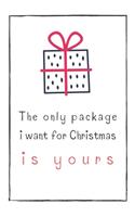 The Only Package I Want For Christmas Is Yours