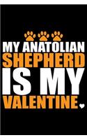 My Anatolian Shepherd Is My Valentine