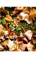 School Composition Book Fall Leaves Acorn Caps 130 Pages: (Notebook, Diary, Blank Book)(Seasonal Fall Photo School Composition Books Notebooks)