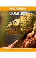 Chameleon