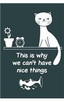 Cats Are Everything to Me