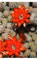 Flowering Cactus Notebook