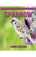 Sparrow: Children's Book of Amazing Photos and Fun Facts about Sparrow