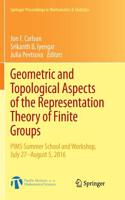 Geometric and Topological Aspects of the Representation Theory of Finite Groups
