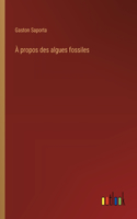 À propos des algues fossiles