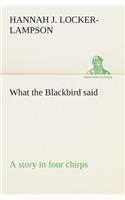 What the Blackbird said A story in four chirps