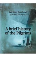 A brief history of the Pilgrims: (English)