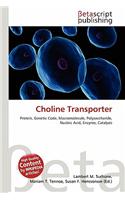 Choline Transporter