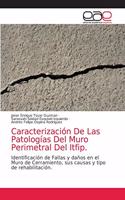 Caracterización De Las Patologías Del Muro Perimetral Del Itfip.