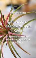 Air Plants Gardening and Care