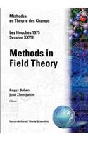 Methods in Field Theory: Les Houches Session XXVIII