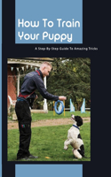 How To Train Your Puppy- A Step-by-step Guide To Amazing Tricks